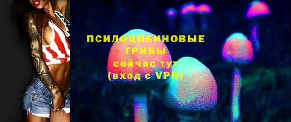 молекула духа Балахна