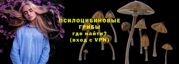 молекула духа Балахна