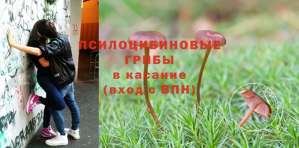 мяу мяу кристалл Баксан