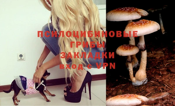 мяу мяу кристалл Баксан