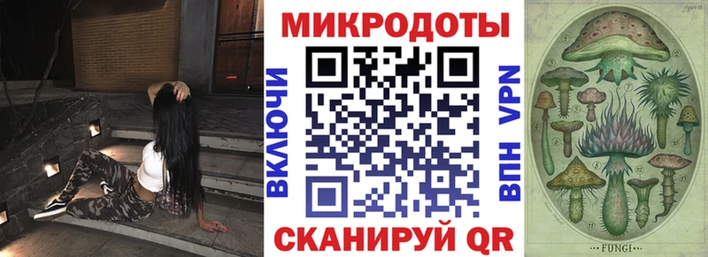 Галлюциногенные грибы Psilocybine cubensis Отрадное